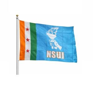 NSUI Slik Flag 40"X60"