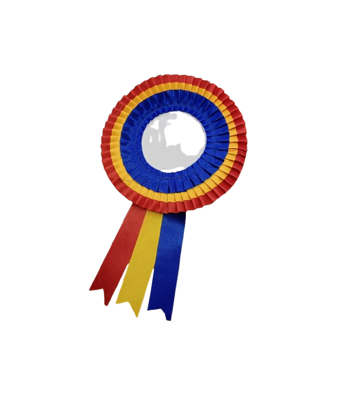 Customize Ribbon Badge Big Size Triple Layer With Different Colours (Pack of 20)