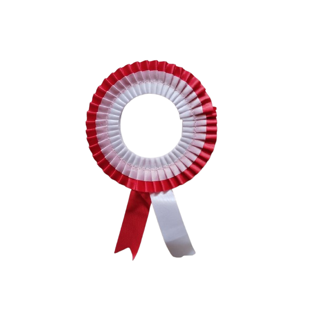 Customize Ribbon Badge Madium Size Double Layer With Different Colours (Pack of 30)