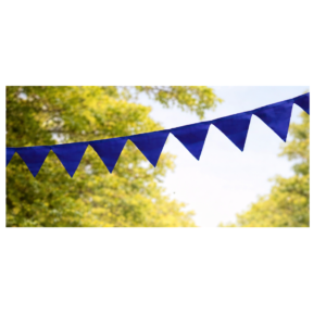 Blue Colour Toran (60-Fit)