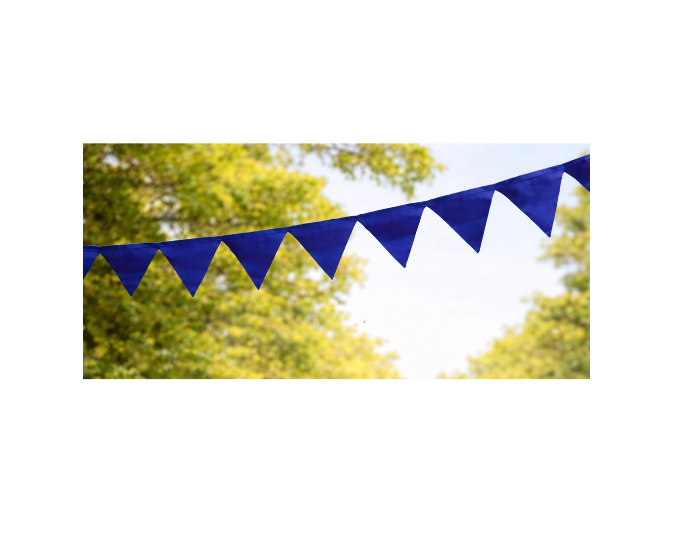 Blue Colour Toran (60-Fit)